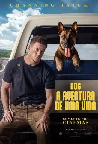 Dog - A Aventura de uma Vida